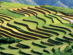 Đi tour miền Bắc đón lễ 30-4 cùng Cholontourist