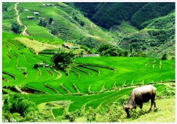 Những điểm du lịch đáng dừng chân trên cao nguyên Hà Giang