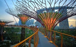 Những điểm đến không thể bỏ qua khi đi du lịch Singapore cùng trẻ em