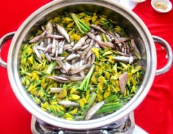 Những món ngon từ rau dại của miền Tây mùa nước nổi 