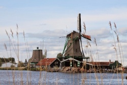 Zaanse Schans - Xứ sở cối xay gió thanh bình của Hà Lan
