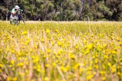 Khám phá vẻ đẹp Tràm Chim, Gáo Giồng – Đồng Tháp chỉ trong 3 ngày