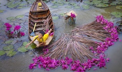 Mùa lũ - Lời hẹn hò của thiên nhiên miền Tây