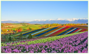 CHƯƠNG TRÌNH DU LỊCH HOKKAIDO 7N6Đ 2023