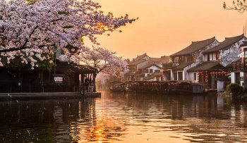 TOUR THƯỢNG HẢI - HÀNG CHÂU - TÔ CHÂU - PHỐ CỔ TÂY ĐƯỜNG 5N4D